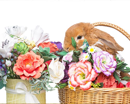 可爱的兔子坐在篮子里复活节彩蛋图片
