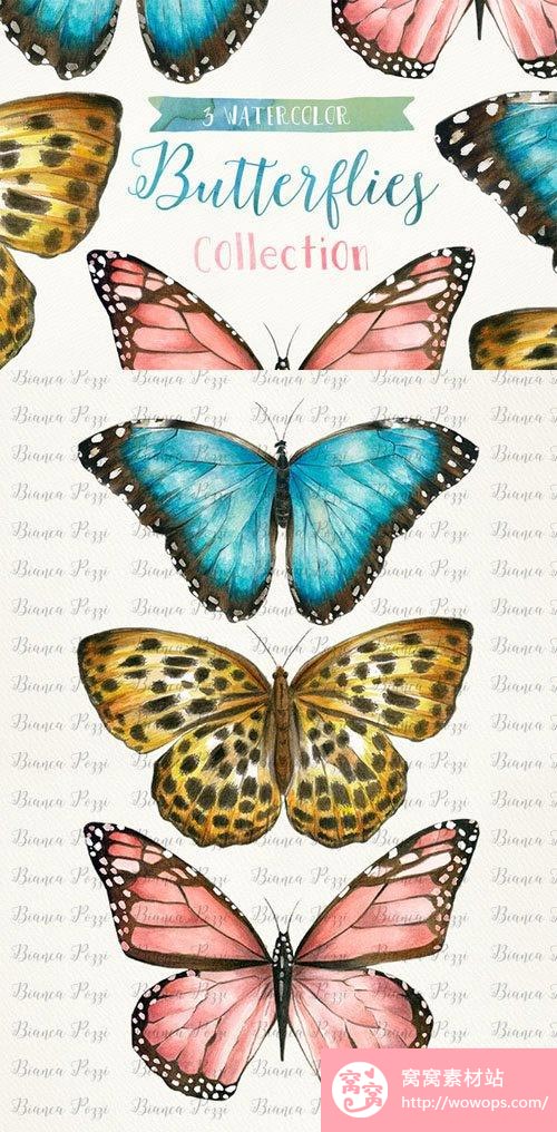 蝴蝶透明素材图片1