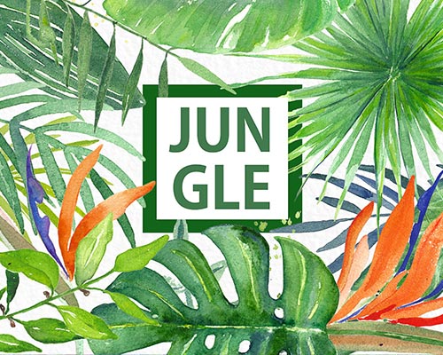 水彩手绘热带棕榈树叶PNG素材下载