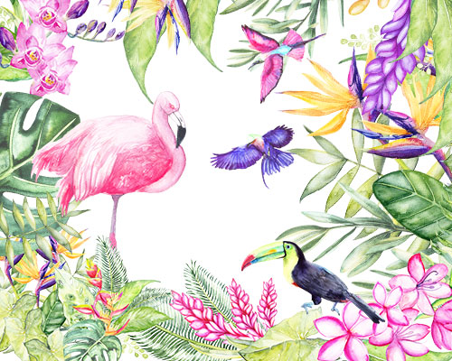 手绘水彩热带雨林仙鹤花卉植物叶子插画素材下载