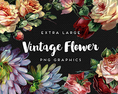 高清复古花卉PNG素材图片