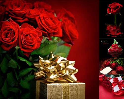 红色玫瑰花高清图片合集素材下载