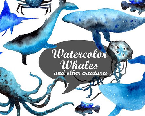水彩鲸鱼水母贝壳插画素材下载