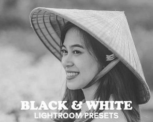 黑白Lightroom预设下载