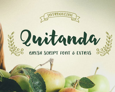 Quitanda唯美英文字体矢量小清新标签素材