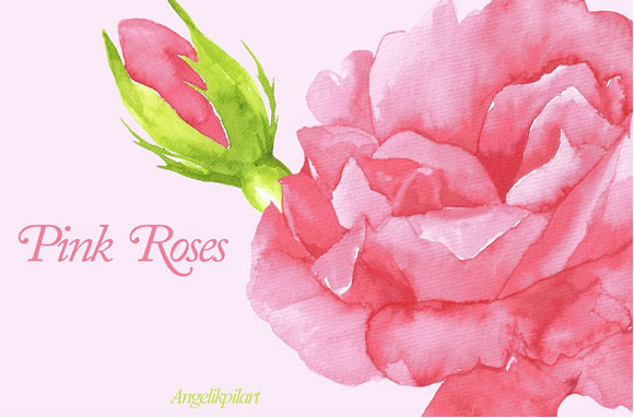 水彩粉红玫瑰装饰素材下载4