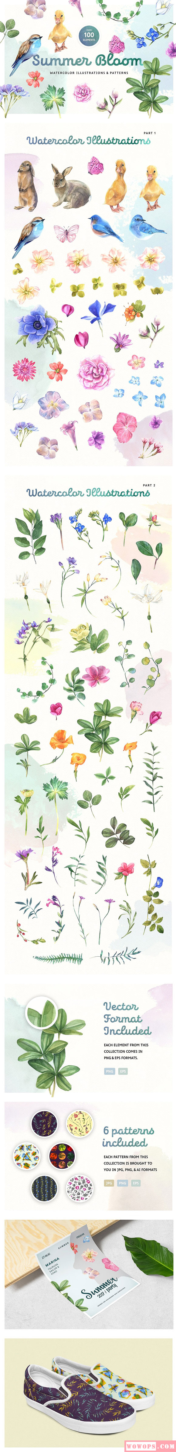 水彩动物植物花卉插画1