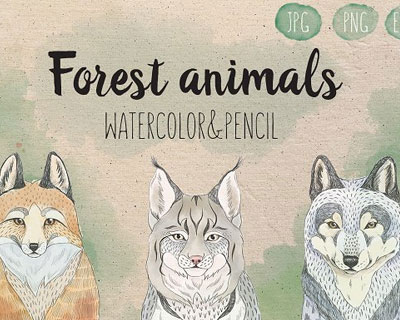 水彩手绘森林动物PNG免扣素材