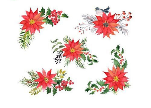水彩松树枝盆栽花卉花环圣诞插画2