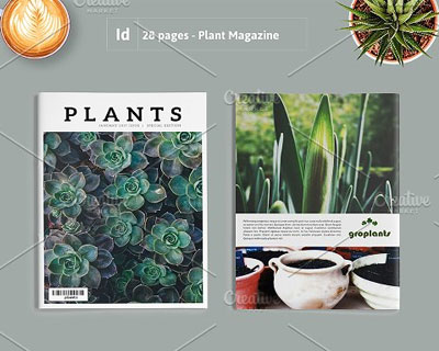 时尚杂志风植物摄影画册设计素材