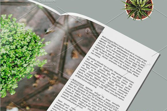 时尚杂志风植物摄影画册设计素材3