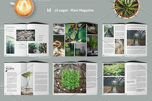 时尚杂志风植物摄影画册设计素材2