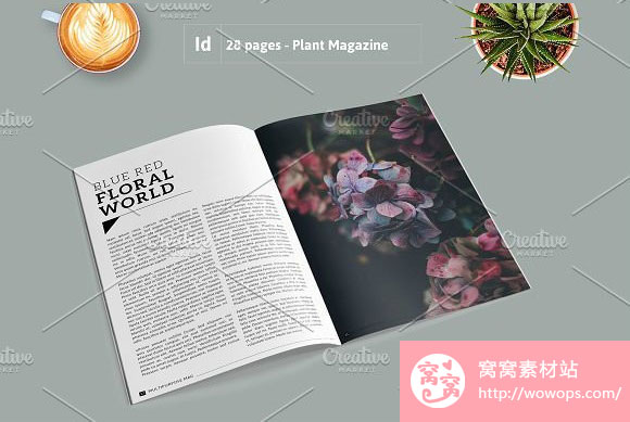 时尚杂志风植物摄影画册设计素材5