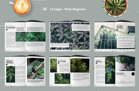 时尚杂志风植物摄影画册设计素材4