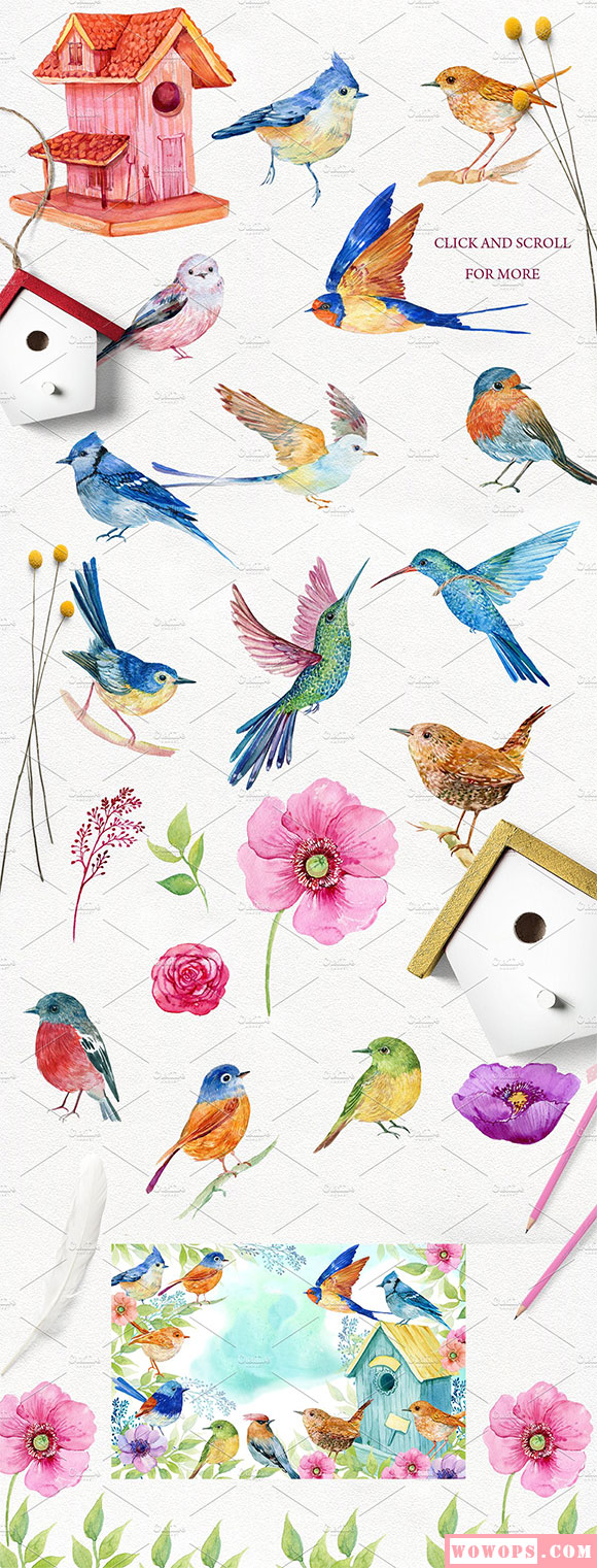 手绘水彩鸟类合集设计素材4