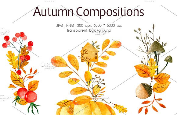 水彩手绘秋天蘑菇花卉植物浆果南瓜插画素材3