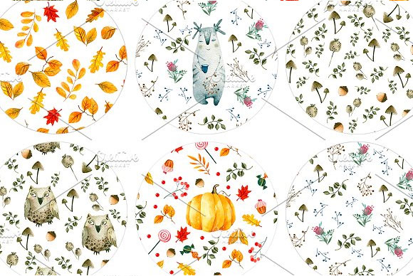 水彩手绘秋天蘑菇花卉植物浆果南瓜插画素材7