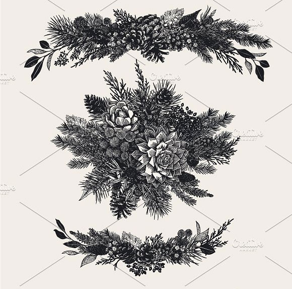 复古手绘线描圣诞植物插画元素4