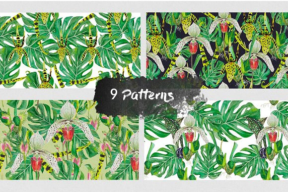 水彩热带绿色奇异丛林叶子花卉植物图案素材7