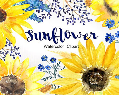 手绘水彩向日葵花朵元素插画素材