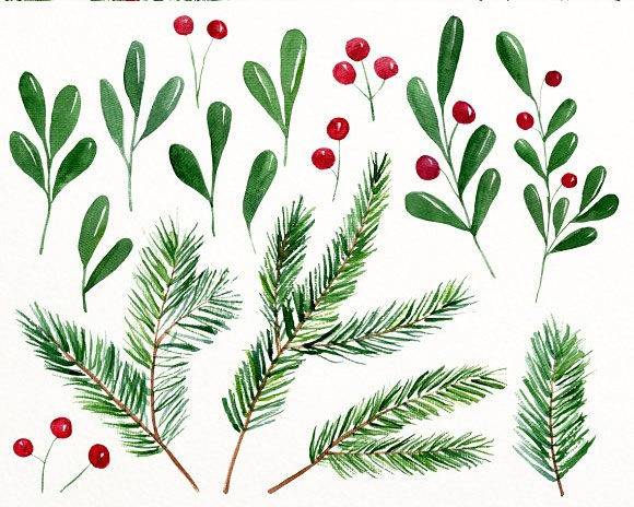 手绘水彩圣诞松树枝花环浆果插画素材2