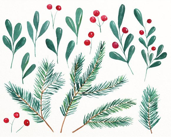 手绘水彩圣诞松树枝花环浆果插画素材3