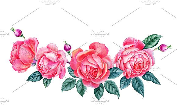 手绘水彩植物花卉红色花朵图案插画素材4