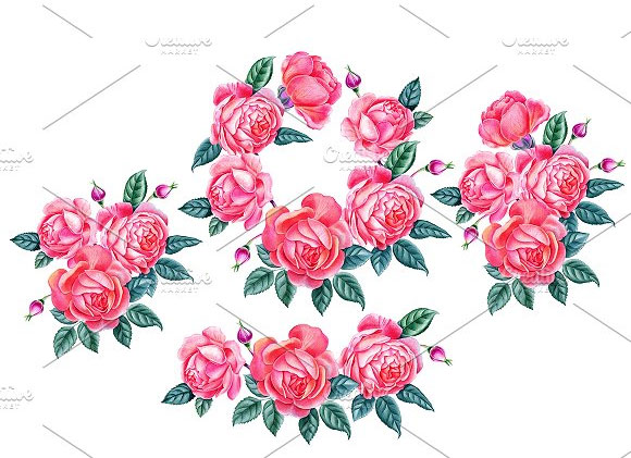 手绘水彩植物花卉红色花朵图案插画素材5