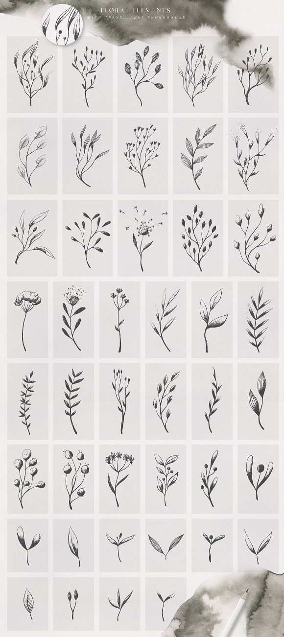 简约手绘植物叶子花框水彩纹理图案装饰素材7