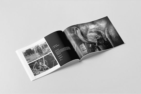 干净简约时尚黑白摄影杂志画册设计模板5