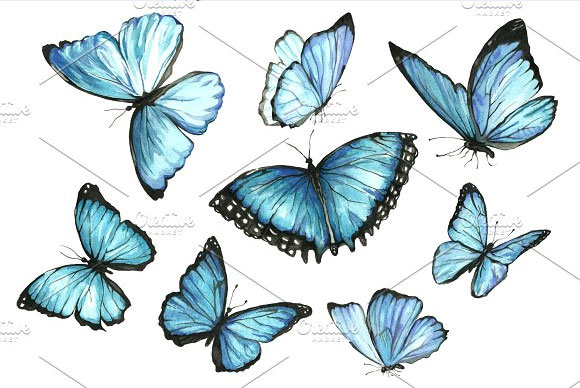水彩手绘蓝色蝴蝶图案插图素材2