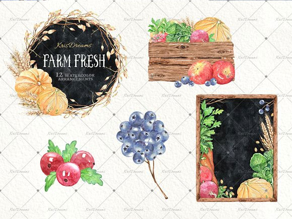 手绘水彩农场蔬菜水果浆果黑板装饰插画2