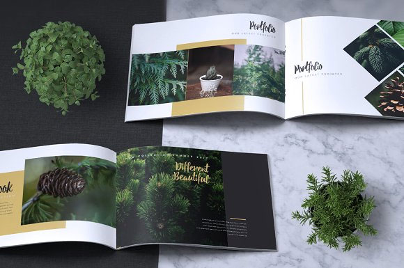唯美清新园林植物风景摄影杂志画册模板5