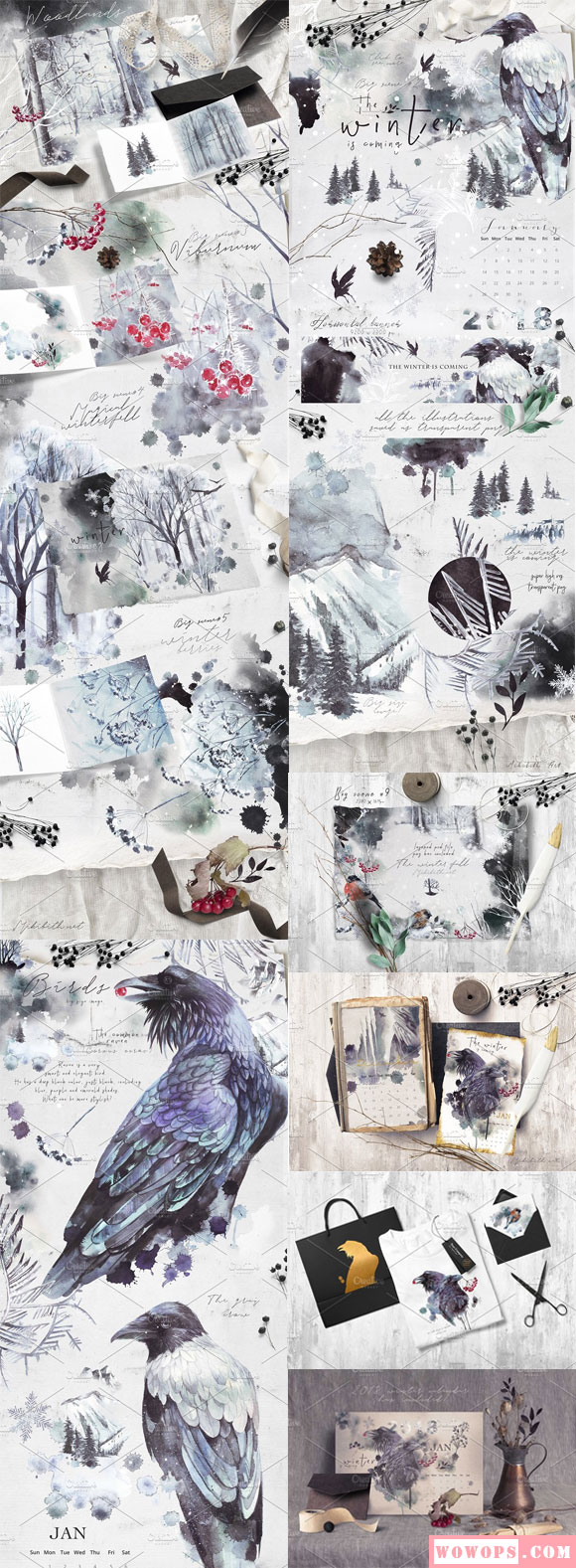 水彩水墨画冬季森林乌鸦鸟插画日历模板5