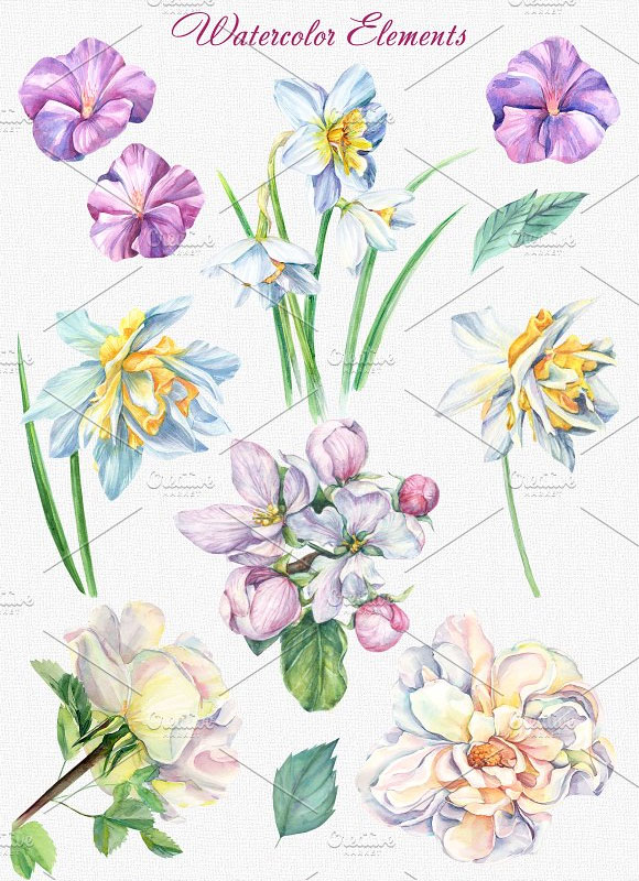 唯美水彩绣球花朵花卉植物花框插画素材4