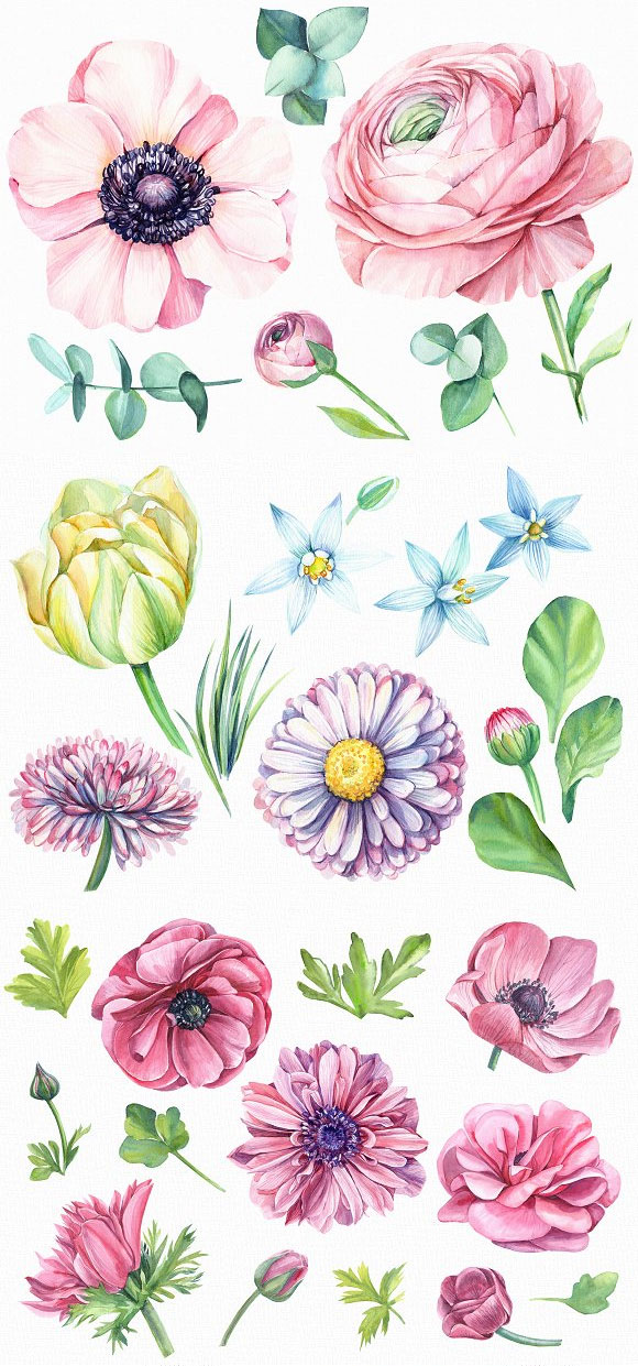 唯美水彩绣球花朵花卉植物花框插画素材6