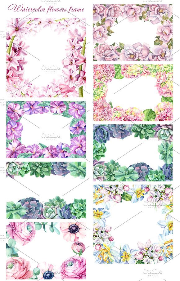 唯美水彩绣球花朵花卉植物花框插画素材7