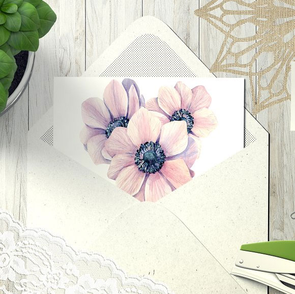 唯美水彩绣球花朵花卉植物花框插画素材11