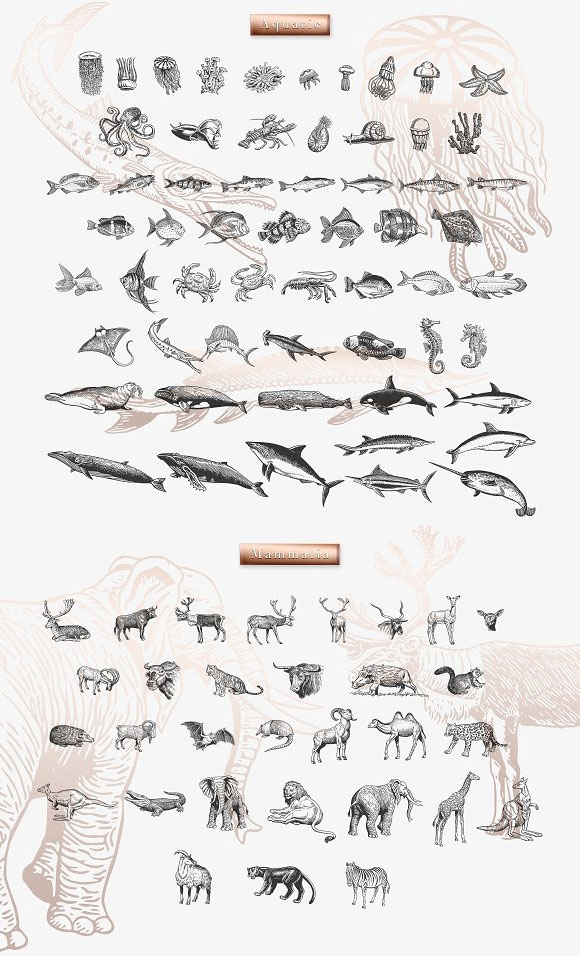 手绘复古线条海洋陆地动物合集素材8