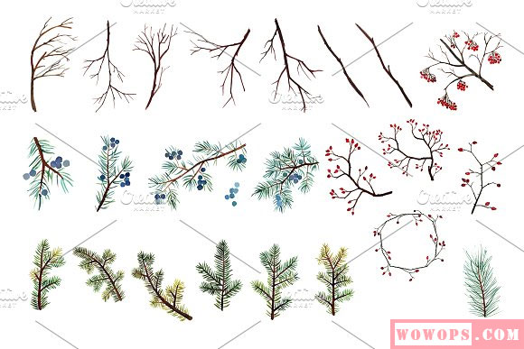 手绘水彩鸟和树枝装饰素材3