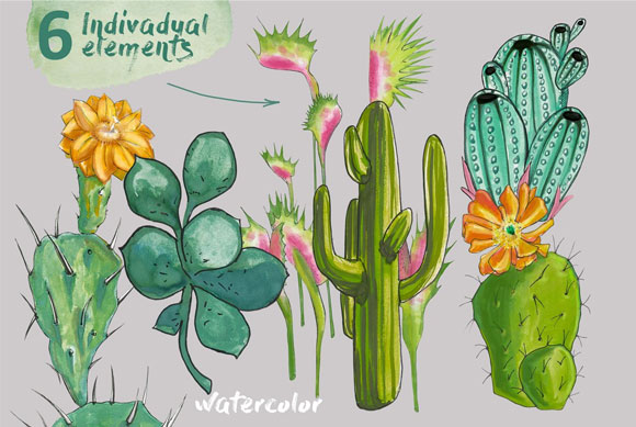 水彩手绘沙漠植物仙人掌插图素材下载2