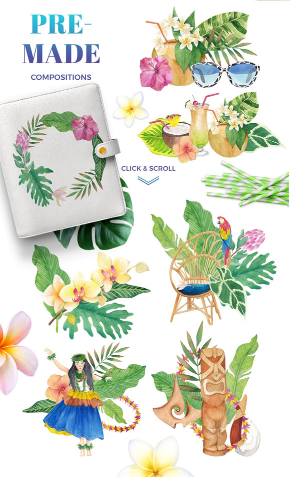 夏威夷水彩画度假旅游植物花卉插图设计3