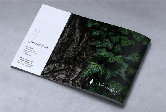 时尚简约园林植物花卉摄影照片风格宣传册设计10
