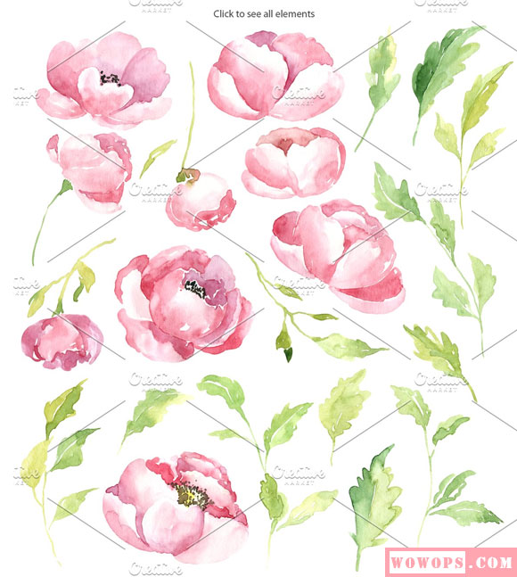 粉红色水彩牡丹花卉插画素材2