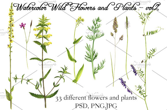 水彩手绘园林植物花卉素材下载3