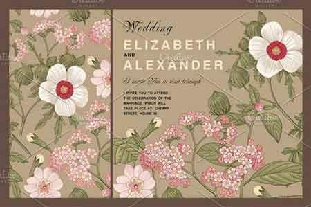 复古木槿花卉植物卡片设计素材1
