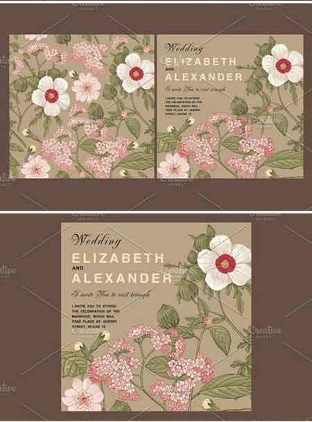 复古木槿花卉植物卡片设计素材2