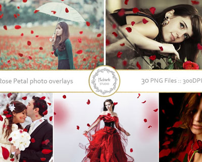 浪漫红色玫瑰花瓣照片叠加增效素材下载