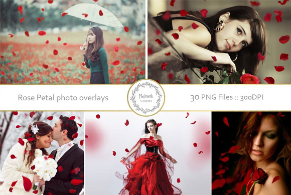 浪漫红色玫瑰花瓣照片叠加增效素材下载1