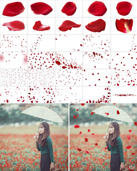 浪漫红色玫瑰花瓣照片叠加增效素材下载3